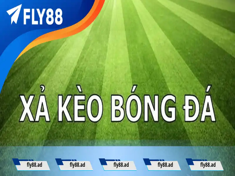 Xả kèo bóng đá khi thắng Xả kèo bóng đá khi thắng